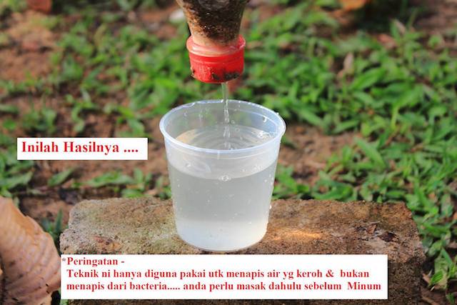 tokderhaka's tweet photo. Tips dapatkan air bersih jika berada di dalam hutan.

Saja nak share sini. Mana tau berguna satu hari nanti https://t.co/cFUa0nm1Ao