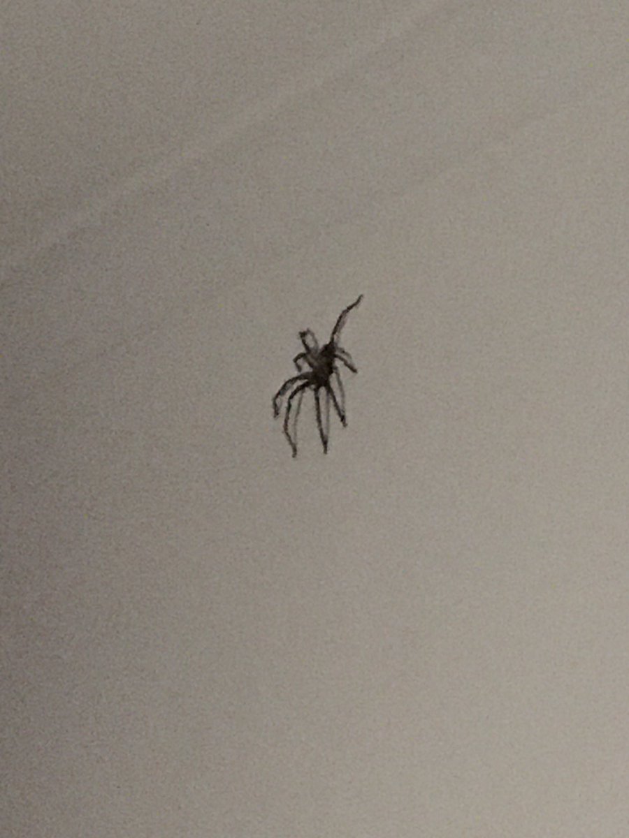 So yeah.. Not a lot of sleep last night... #screaminginternally