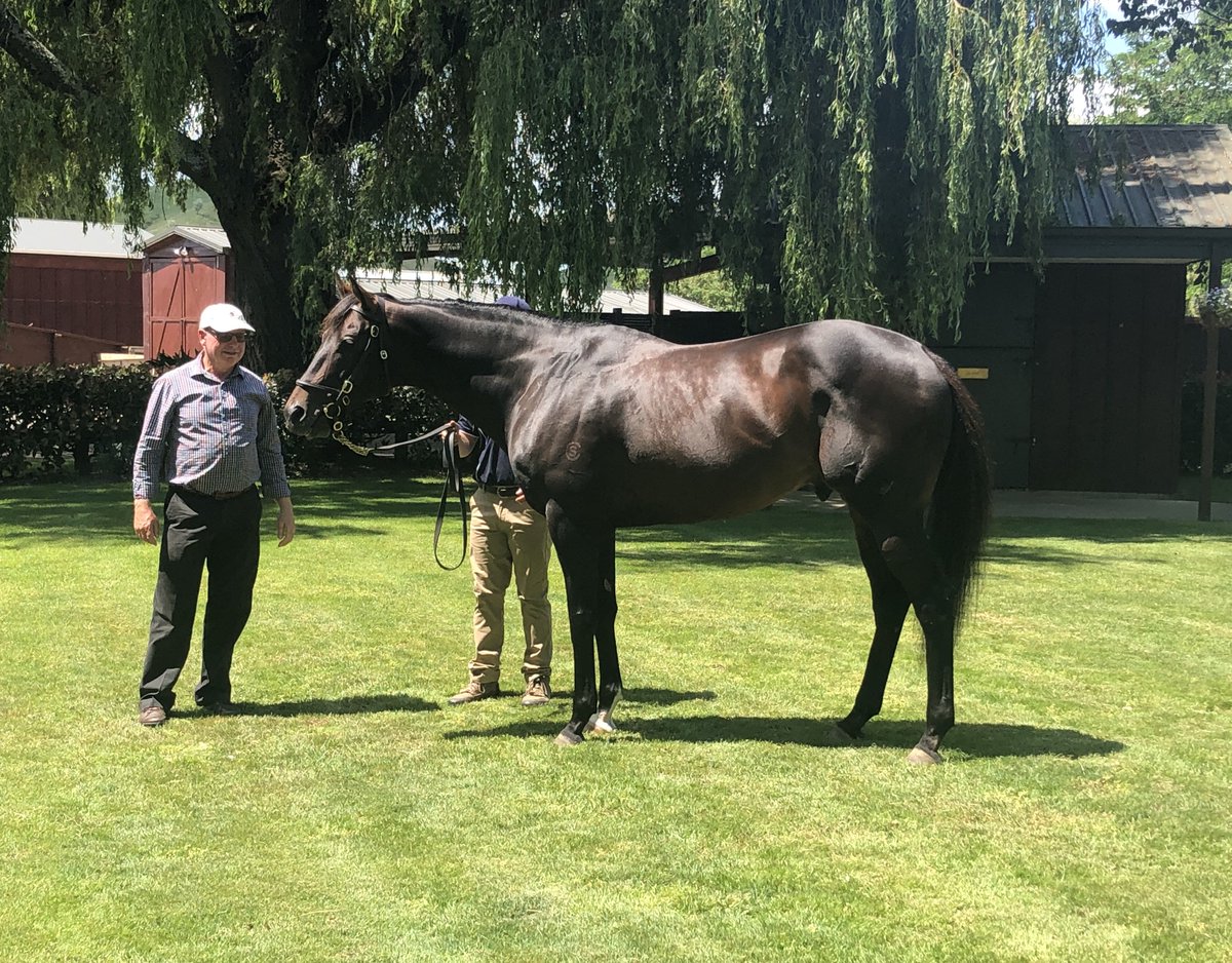 nzracingnews's tweet photo. NEWS: @francismystery Francis Cook was back in NZ this week and visited @brighthillfarm to see one of his most successful @KarakaChat purchases https://t.co/YTn5suNJ3R https://t.co/YJPdhbj8up