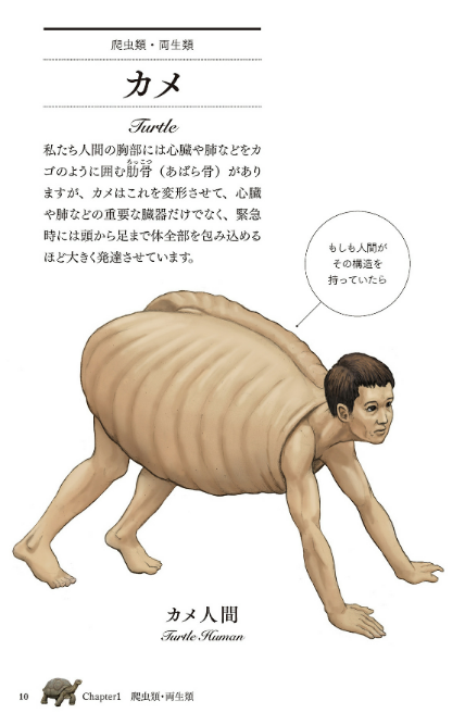 やべぇ本、見つけた。

カメの甲羅はあばら骨 ~人体で表す動物図鑑~ (SBビジュアル新書)   川崎 悟司  