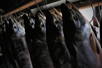 しょっぱい塩鮭の塩抜き方法まとめ おすすめレシピもチェック お食事ウェブマガジン グルメノート