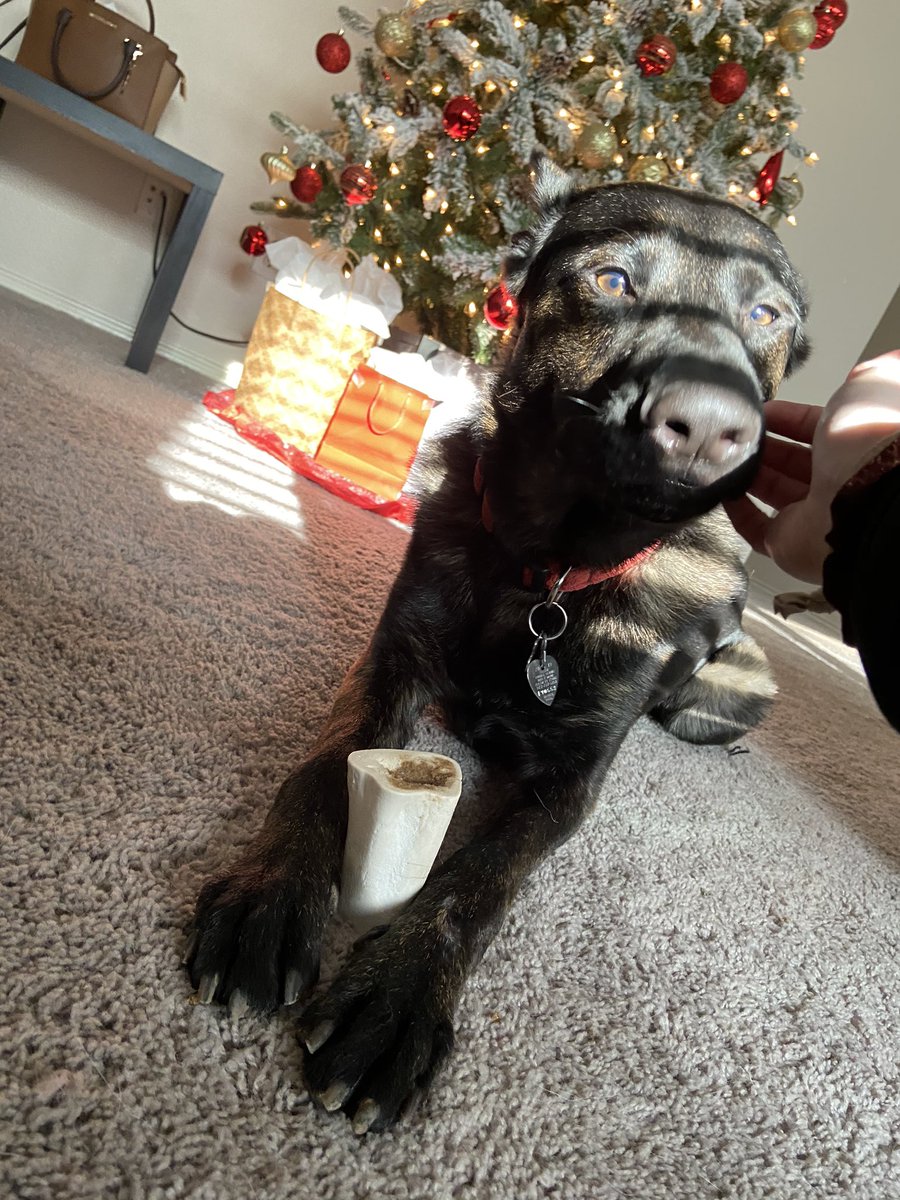 Sesley_blue's tweet image. Merry Christmas❣️