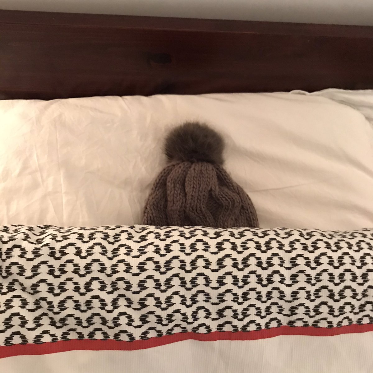 Eloditeur's tweet photo. The #ElectionHat is off to bed now...see you in 3 hours (🥳) for more results and to prepare the morning radio pieces with the latest from #GeneralElection2019 #UKElection #GE2019 https://t.co/6sV4ufJP1l