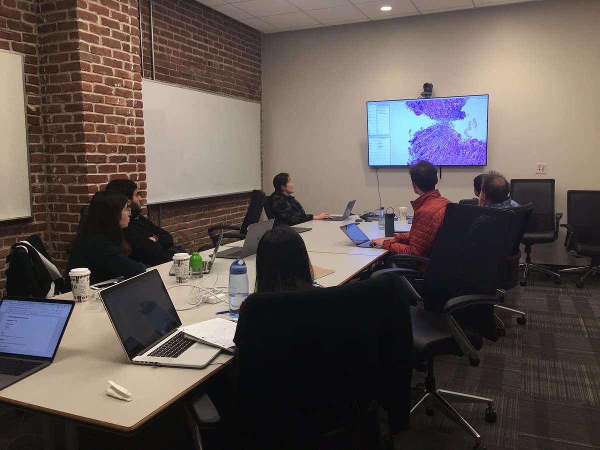 bearpelican's tweet photo. @DataInstituteSF @jeremyphoward @usfca_msds @StanfordAIMI @UCSF Shortly after: the domain experts teach WAMRI how pathology is annotated https://t.co/7XSQDuF35h