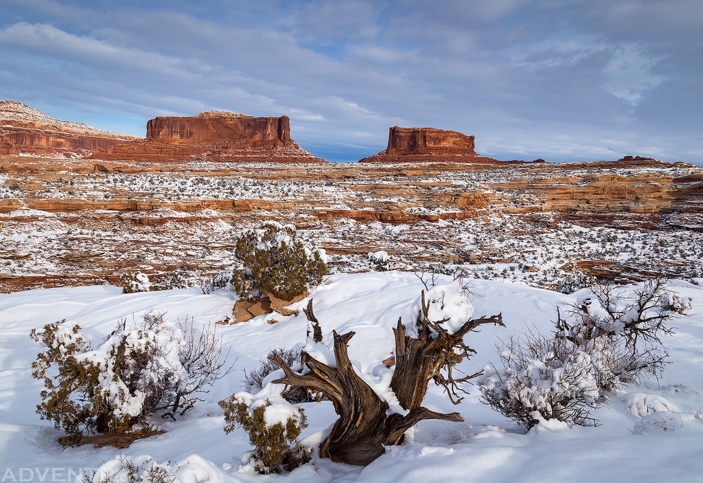Moab Red Stone Inn tweet media