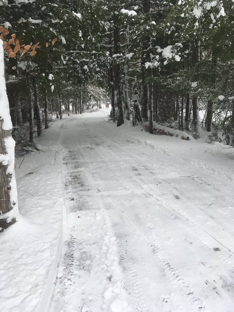 MissMuskoka's tweet photo. It’s a winter wonderland out there! https://t.co/7tzKXbSiwh