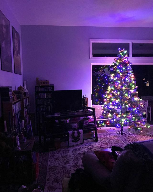 AletheaKontis's tweet photo. Just got home. There was a Christmas tree waiting for me. And I cried. ✨🎄✨ #believe #sistermagic #somuchlove #hallmarkheroine #greenmountaingirl https://t.co/KlBl2AidzS https://t.co/Ccrysdb8jt