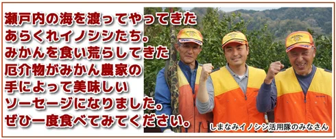 みかん農家の襲撃は許さない？笑顔でイノシシをソーセージにしたことを報告するイノシシ活用隊www