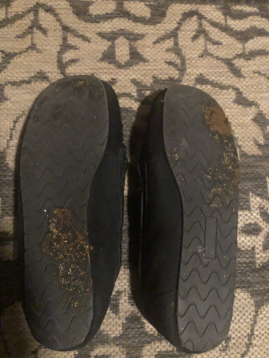 So think you had a 💩 kind of day? I raise ya one!