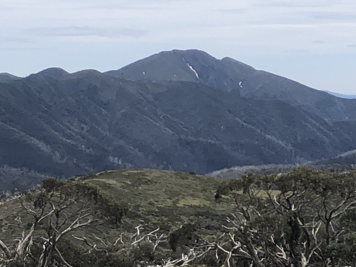 Had to backtrack a coupla days due to fire closure area. TBH was exhausted anyway after extreme physical exertion and navigational challenges around day 7. Hitched outa mts, hitched back up. Now near Mt Hotham. Onwards!Peaks are Mt Feathertop and The Twins  #AAWT