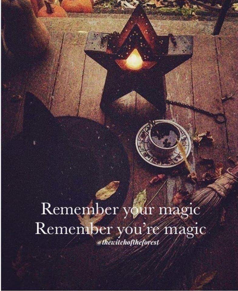 thewitchbrmclst's tweet photo. Good Evening Witches Full Moon Magick is Afoot https://t.co/ZzXaozIwl3