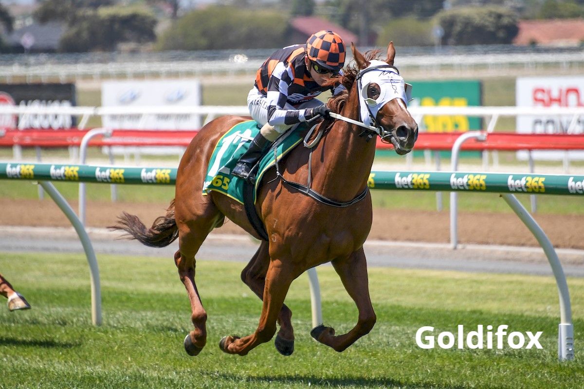 RacingBennett's tweet photo. Big Night at the Valley Ahead ๐๐
Tonight at Moonee Valley we have 2 runners them in being Hot in Paris in race 1 at 6.30pm and Goldifox in race 6 at 9.00pm with Lachie King to ride both of them.
Good luck to all connections of both horses!! #GoGoldi #GoHIP๐ฅ https://t.co/hVOPGLXciv