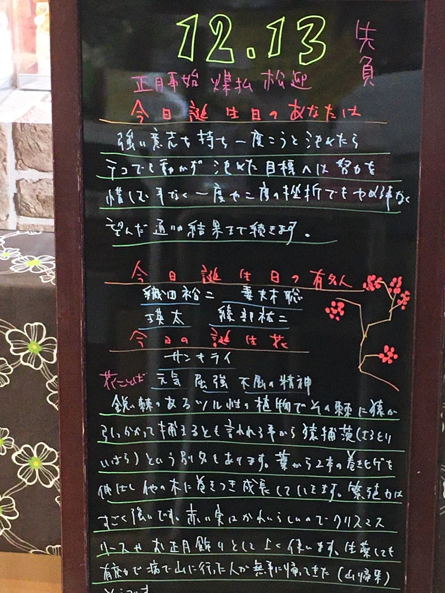 花色舞 Sc店 V Twitter 今日の誕生花は サンキライ 山帰来 花期は春で秋 冬のクリスマス時期は真っ赤な実が美しくリースの土台にも欠かせない花材です ドライ向きの花 材と合わせてそのままドライフラワーアレンジでもいいですね 花言葉 誕生日 誕生花