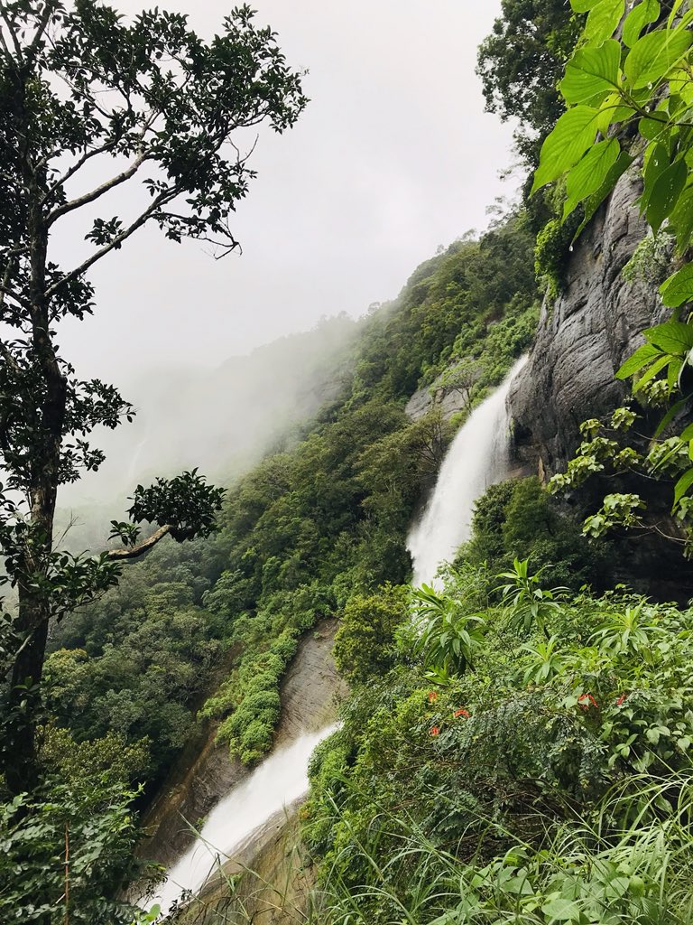 DulithK's tweet photo. Duwili Ella - Kalupahana( Side Elevation )
#TravelwithDK #KnucklesMountainRange #ceylontourist #SriLanka #Travelgram #visitsrilanka #wanderlust #lka #srilanka2020 #paradiseisland #stayandwander https://t.co/croitnXrMZ