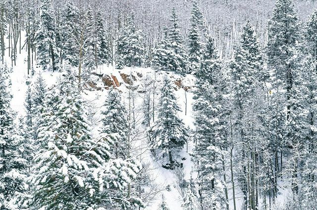 Are you hitting the slopes or staying cozy by the fire this weekend? Either are great choices in our book! ⁠
⁠
Thank you @mountain__kat for sharing your winter wonderland view with us! ⁠
⁠
⁠
#simplysantafe #santafenm  #travelnm #santafe #winterwo… bit.ly/35ivF6n