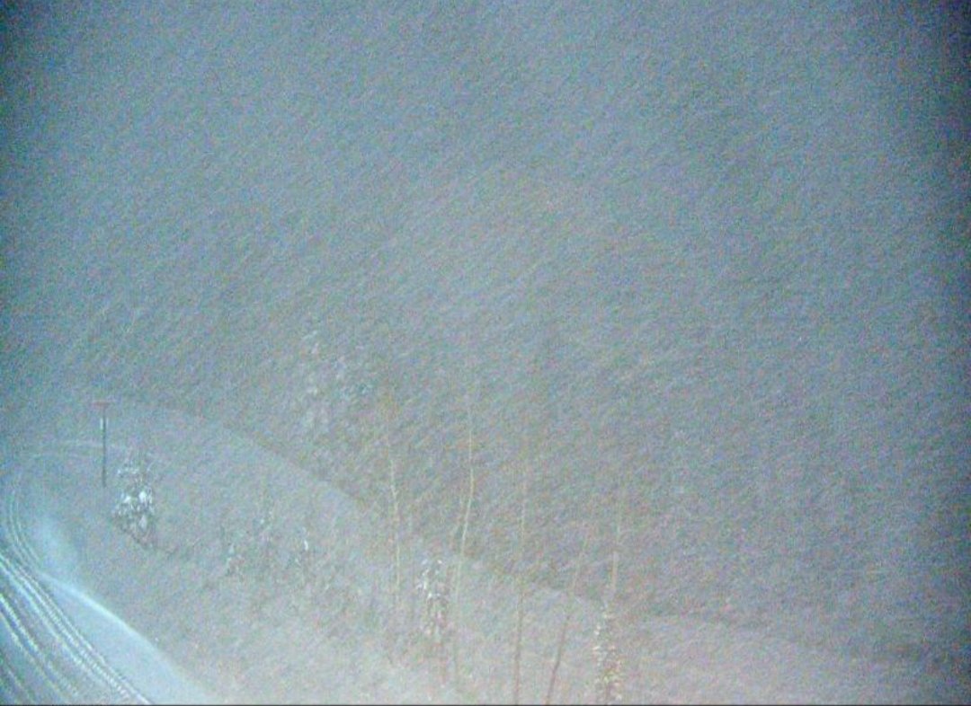 WasatchSnow's tweet photo. Some insane snowfall rates right now in LCC! https://t.co/MxAorxmOgi