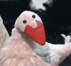 Daemoniaca tweet media