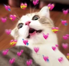 Anye Niallxxbebito Twitter