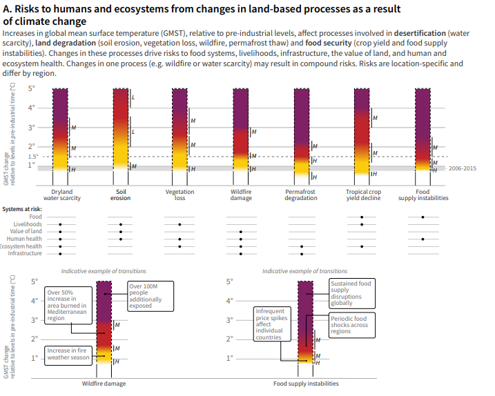 wef's tweet image. The @UN says we need to reduce our meat consumption to fight climate change and improve food security wef.ch/31uBBXv #environment