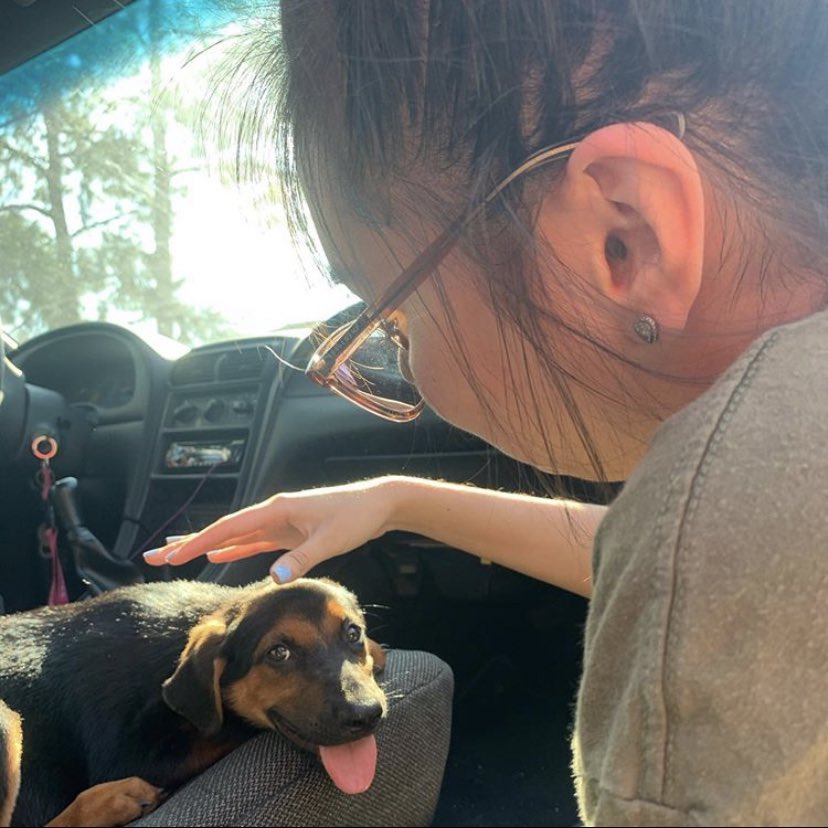 carlift0s's tweet image. Look at our daughter growing up so fast😢