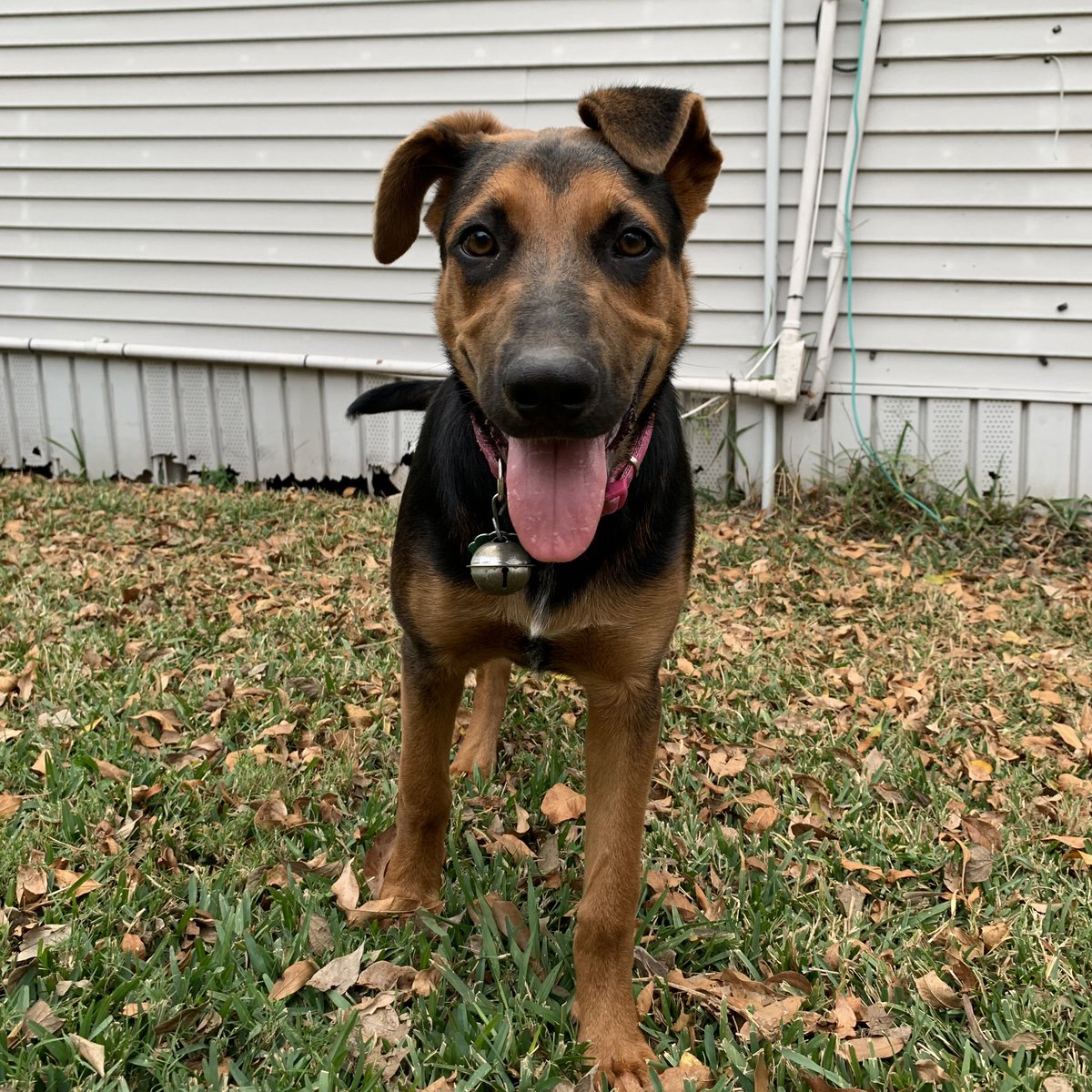 carlift0s's tweet image. Look at our daughter growing up so fast😢