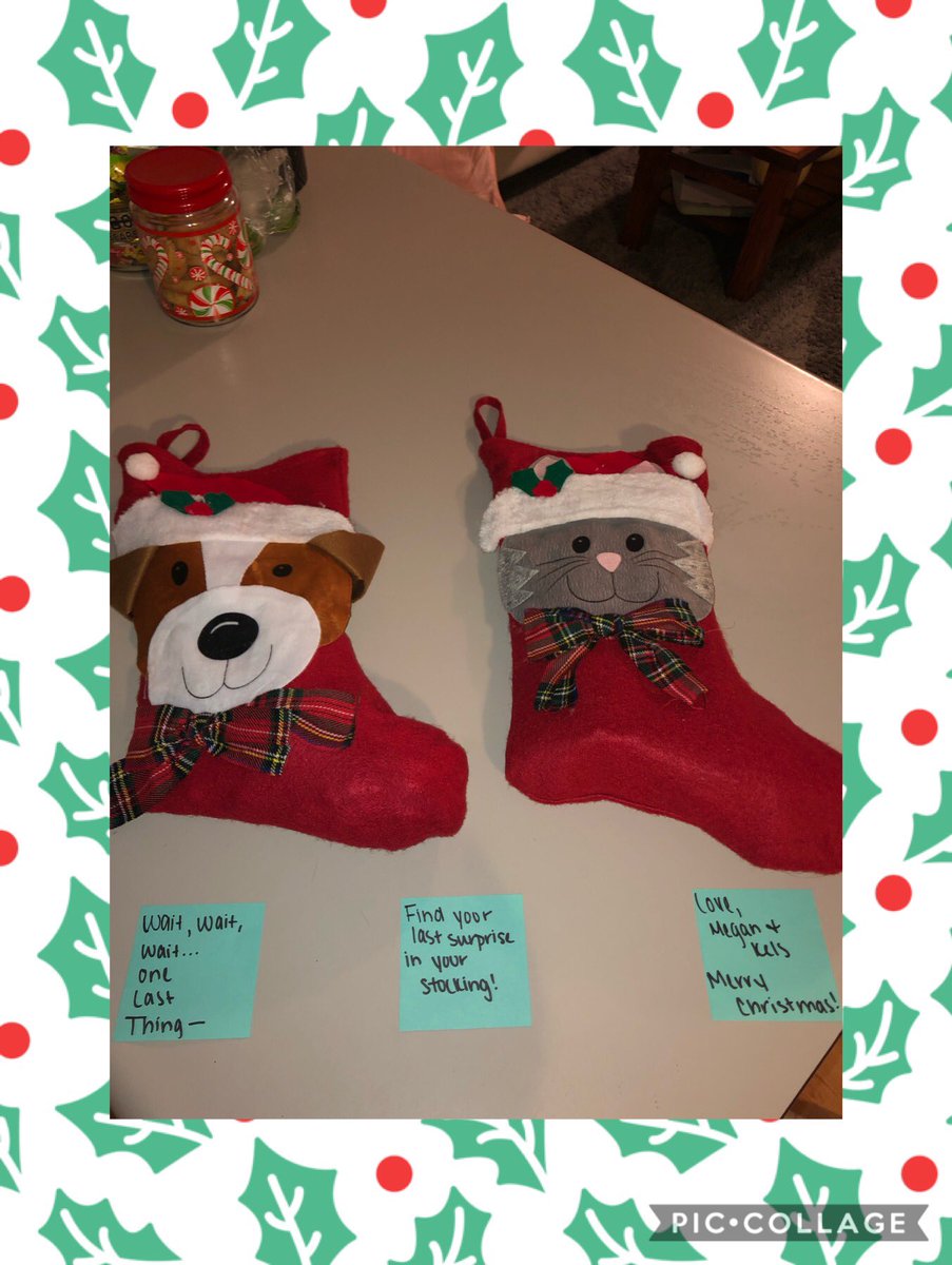 kelseythespaz's tweet photo. Megan and I had some fun giving @hannah_holmann & @joslyn_harding little presents to wake up to each day of finals week! #5daysoffinals #Roommates https://t.co/qOlzRZ1ush
