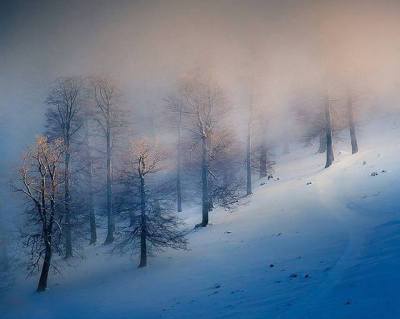 Accendere una lampada e sparire Questo fanno i poeti Ma le scintille che hanno ravvivato se vivida è la luce durano come i soli. __ Emily Dickinson © Bogdan Panait