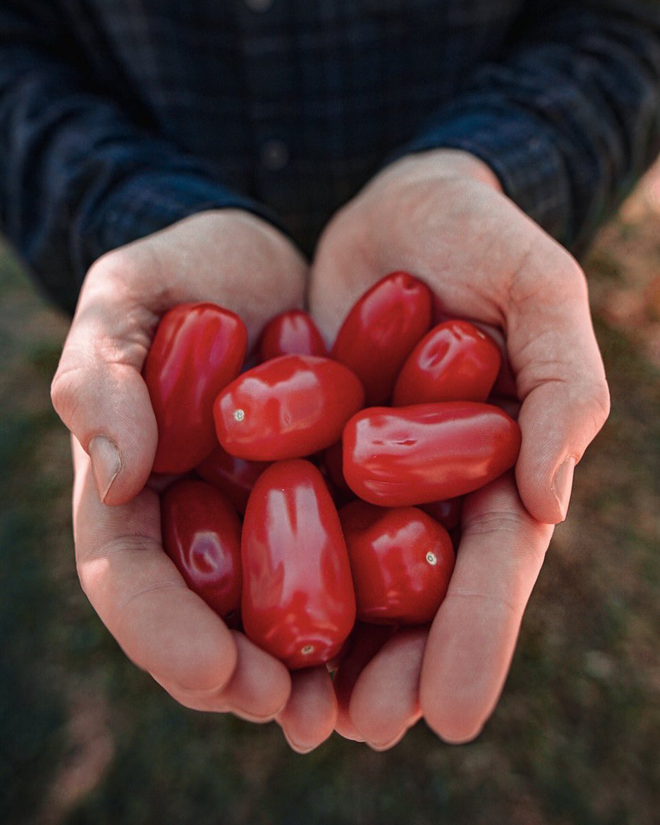 matthewblick's tweet image. Done! 88 days—plus some extra—of backbreaking specified work to get a second-year visa.

Now it’s time to hit the road and explore the shit out of Australia!

#specifiedwork #farming #travel #australia

Instagram: instagram.com/matthewblick