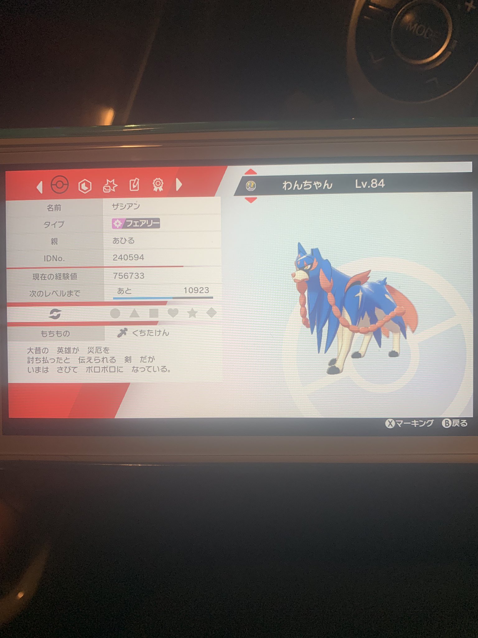 迷子ポケモンお知らせセンター Pokeswsh Maigo Twitter