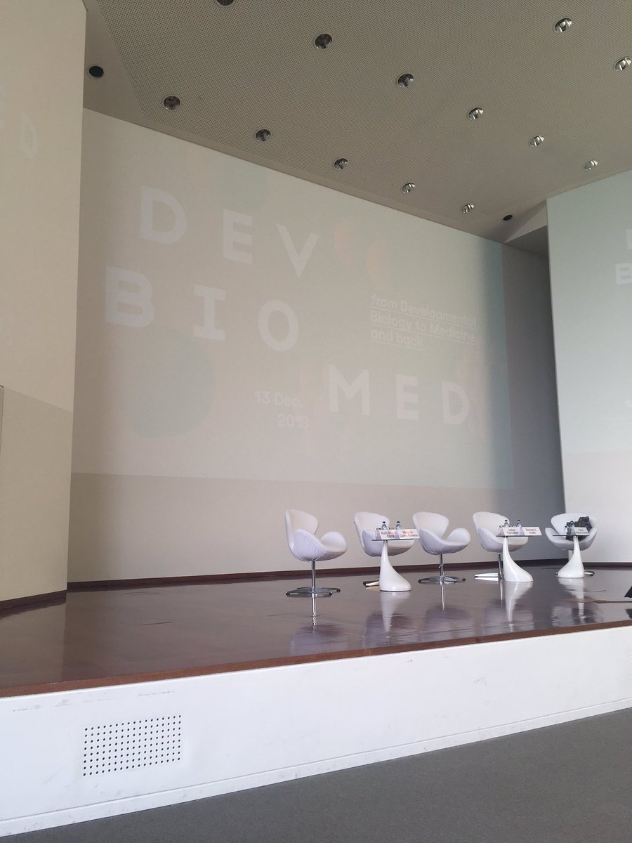 Paulo Navarro-Costa (@germcells) on Twitter photo A serene atmosphere in preparation of the #DevBioMed19 symposium <a href="/ChampalimaudF/">ChampalimaudF</a>. Main objective of the meeting: bringing closer together the fields of #DevBio and #Medicine. A serene atmosphere in preparation of the #DevBioMed19 symposium <a href="/ChampalimaudF/">ChampalimaudF</a>. Main objective of the meeting: bringing closer together the fields of #DevBio and #Medicine.