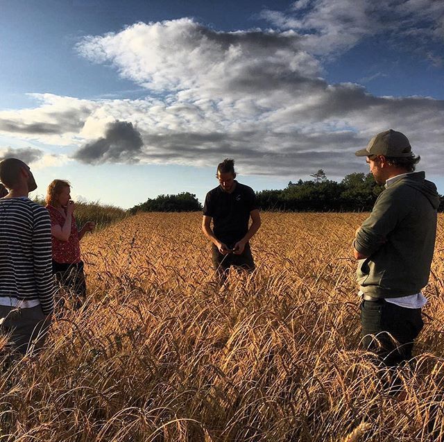 The next episode of #CEREAL is out this Sunday! In ep 4, we’ll be learning more about the millers, another crucial link in the chain.. 
🌾
And if you haven’t already listened to episode 3, check it out: buff.ly/2LzHs8C 
🌾 
📸 : @gothelneyfarmer