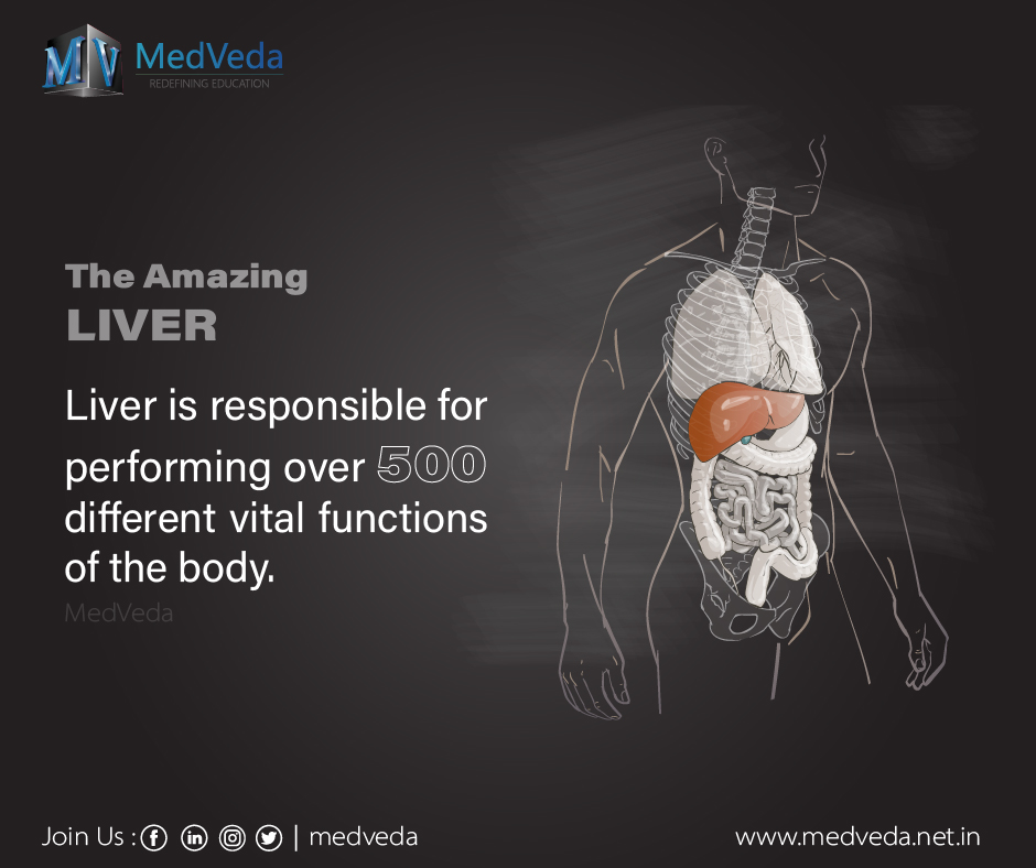 #Liver is responsible for performing over 500 different vital functions of the body. #completeanatomy #3DModel  #Medical #3D #3Danatomy #medtech #anatomy  #education #educators #students #AR #VR #animation #medical3danimation #Medicaleducation #Medveda
medveda.net.in