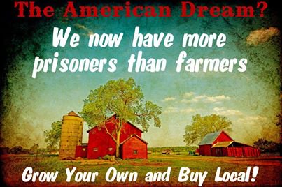 The American Dream? We now have more prisoners than farmers...