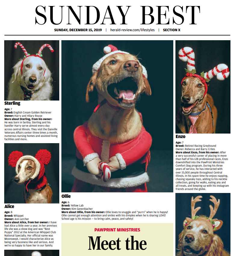 ByChrisCoates's tweet photo. Fun project coming up in the Sunday @heraldandreview by the talented @clayphoto: holiday photo shoot with models from @PPMdogs. 
Become a Herald &amp; Review member today: https://t.co/3w5SChU4ff #TogetherDecatur #SupportLocalJournalism https://t.co/Ywsoac1BxM