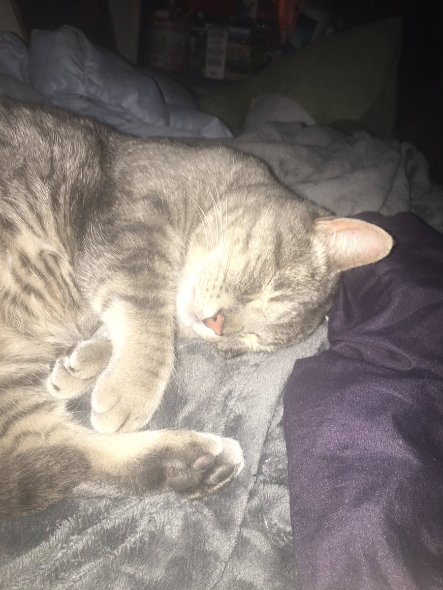 garmygarmin's tweet photo. i trust my mommy very much https://t.co/akb2ndTYzn