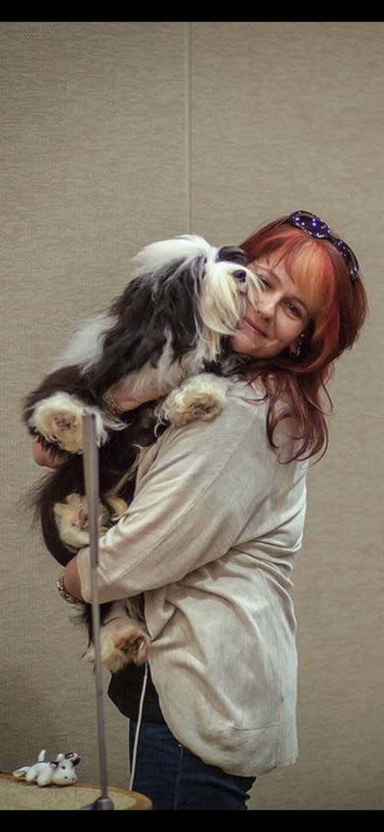 KarenSako's tweet photo. Deacon gives good hugs!
#havanese #windfallhavanese #puppylove #puppy https://t.co/dyJBD71rLN
