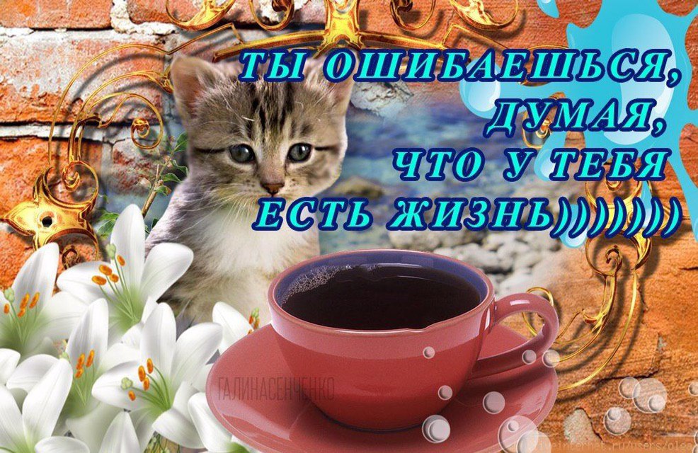 ELpMR3oWwAUWYd4?format=jpg&name=medium