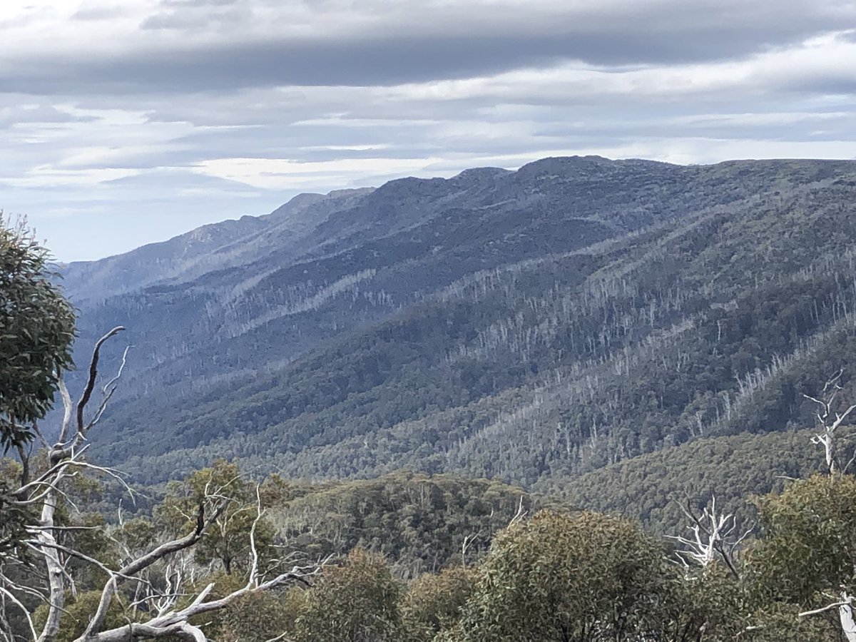 In the 1800s they named this range “the N-ggerheads”. They have since been renamed by their indigenous name, the Jaithmathangs  #AAWT