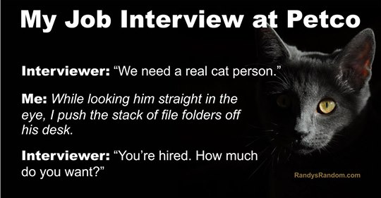 urbagirl's tweet photo. #interviewgoals https://t.co/oA57O65wO6