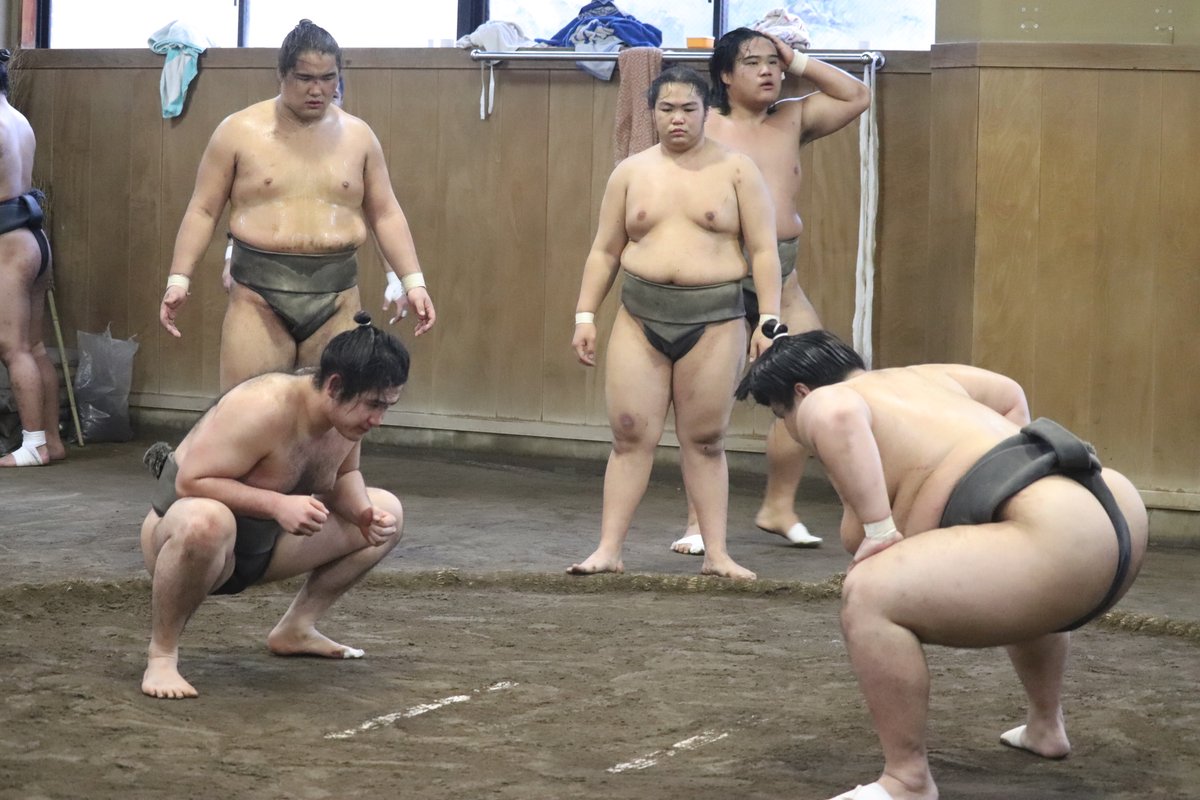 藤島部屋朝稽古＞ 星飛と藤乃若の仕切り。奥は、石坂、藤乃波、鈴木