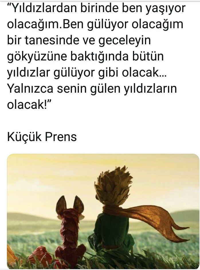 YldzMete581's tweet photo. 🌷🌷🌷GUNAYDINLAR🌷🌷🌷 https://t.co/ZsrX0ATKDI