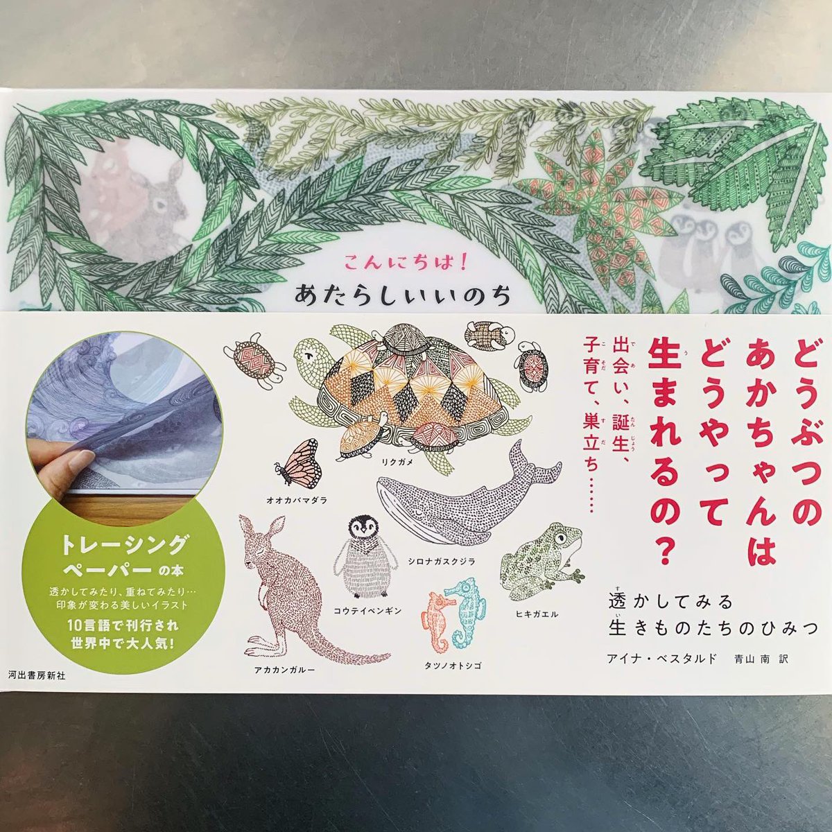 Twitter पर 451books 今週末のリアル店舗も営業です 12月14日 土 16日 月 12時 18時 美しい絵本が届きました こんにちは あたらしいいのち トレーシングペーパーを透かして見る世界 とても繊細で 心打ちます スペインのイラストレーター アイナ
