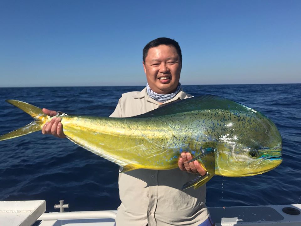 recfishwest's tweet photo. FADs frenzy this week as the first dolphinfish is caught on our metro FADs just 3 weeks after deployment and with more FADs dropped in this week off Albany and Cape Naturaliste. WA #recfishers salivating at the prospect of powerful pelagic fishing action! https://t.co/I2h9B3rbwP https://t.co/ANqcPCPku7