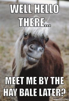 TheSaddleBank's tweet photo. Tag a Friend... 😂 https://t.co/BJRnr9Tcor