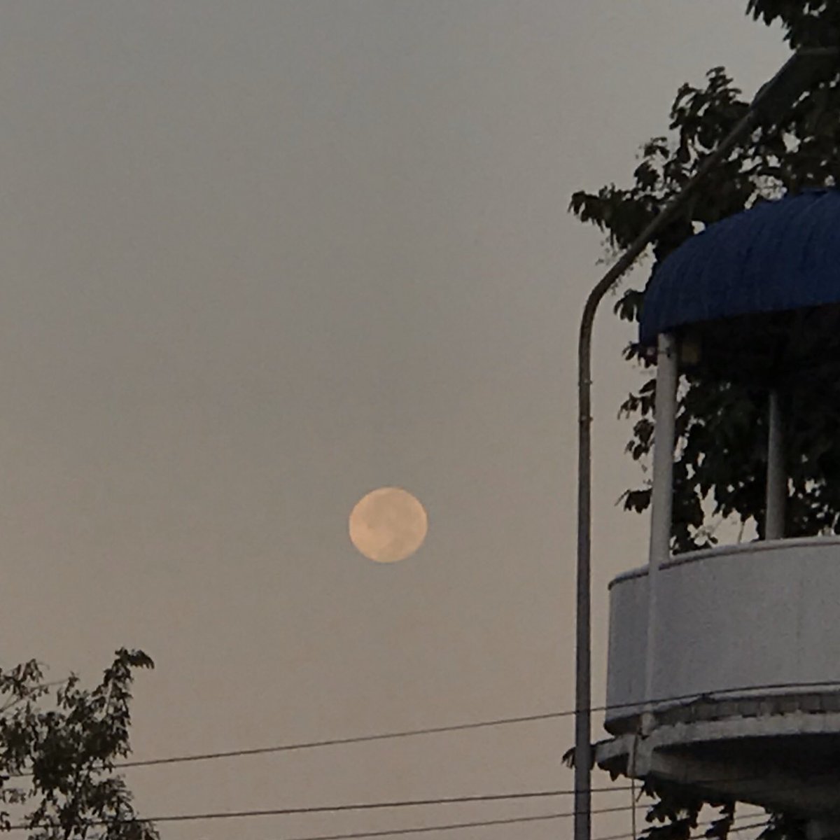 น่ามองขนาดนี้ได้ไงอะ