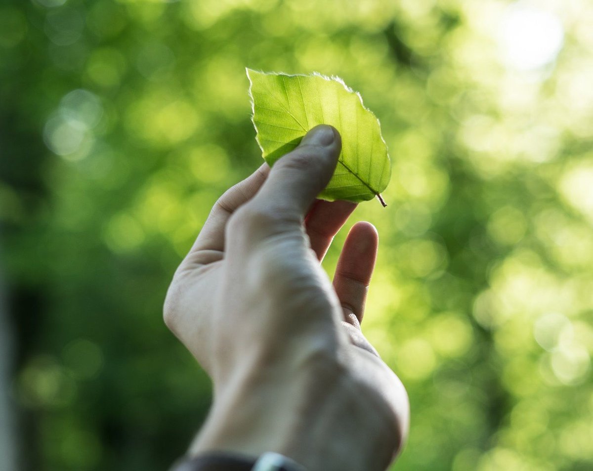 Which tool to use for #energypolicies? The <a href="/IMEASProjectAS/">IMEAS</a> guideline "Comprehensive planning and implementation of #sustainable #energyandenvironmental policies" classifies, defines the applications and summarises the processes of a selection of tools.
buff.ly/2YFa6u0