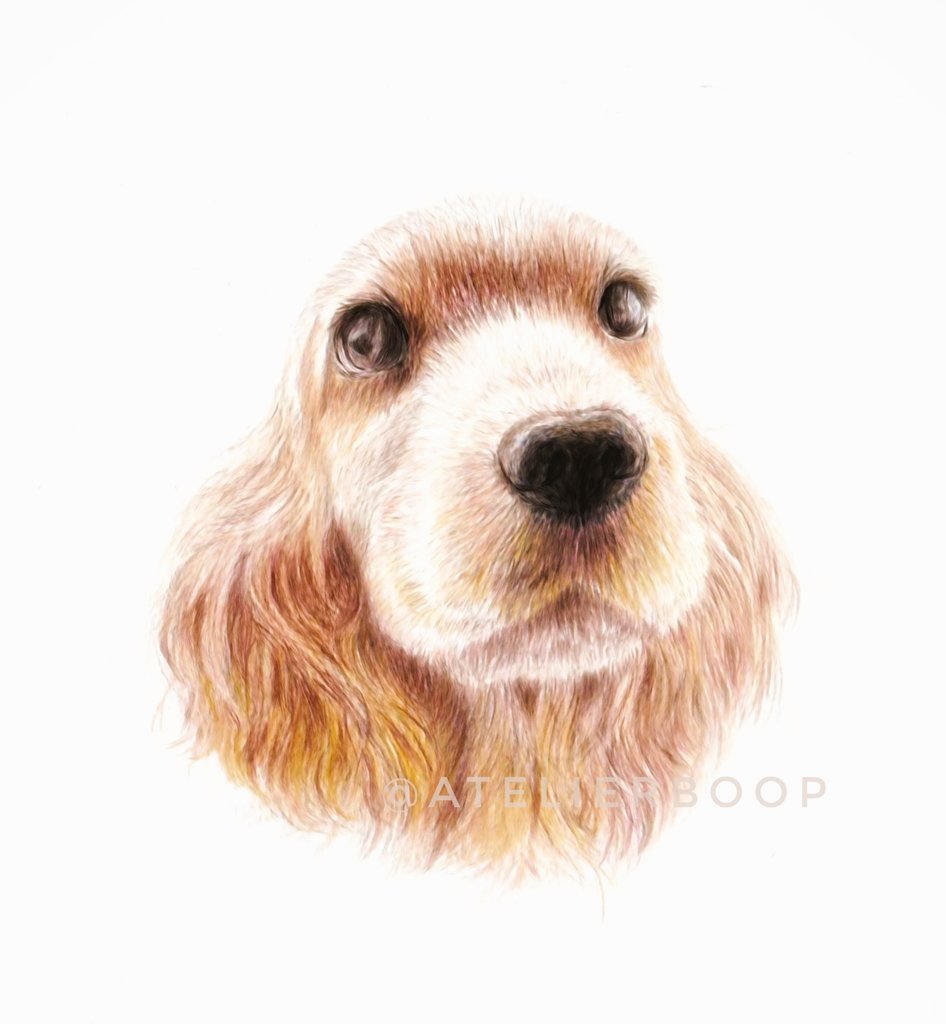 Twoucan アメコカ の注目ツイート イラスト マンガ コスプレ モデル