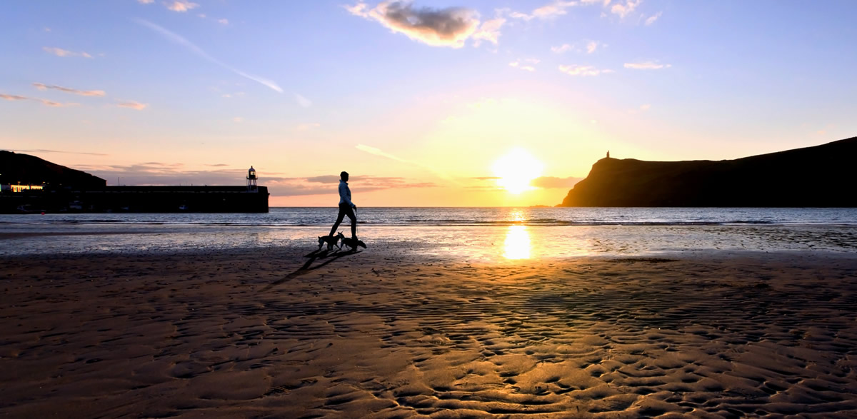 The Methodist Church tweet media