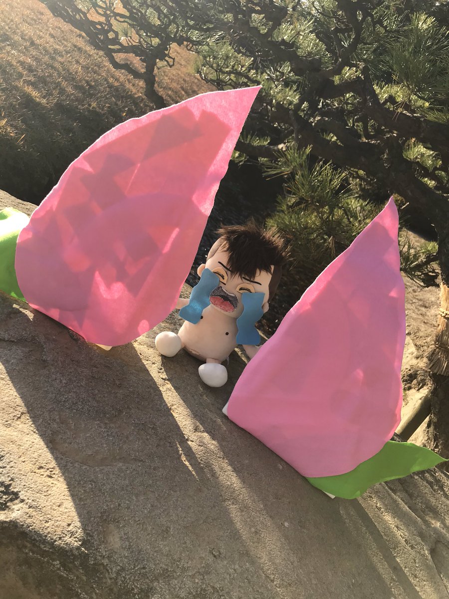 Yanma_mochi's tweet photo. 桃から生まれた安田くん

#47diary #岡山 https://t.co/cSov4qNa2C
