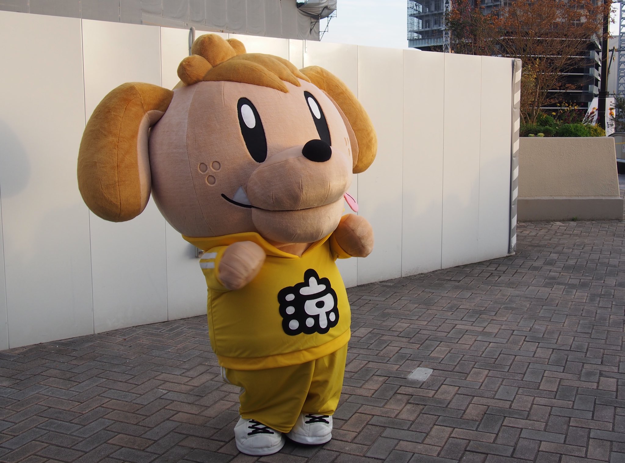 T-ポイント5倍】 ジェネ高 片寄涼太 ジェネ犬 2点 GENERATIONS T-ポイント5倍】 ジェネ高 片寄涼太 ジェネ犬 2点 GENERATIONS